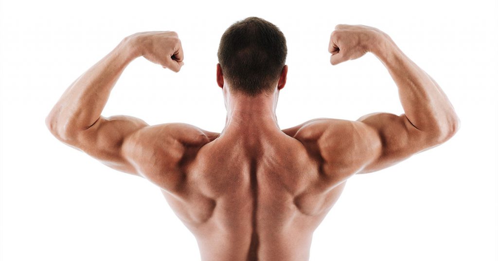 Como funciona a Definição Muscular: mitos e verdades